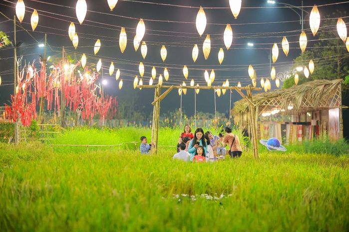 Những con đường hoa đẹp nhất xuân Quý Mão: Nguyễn Huệ đứng đầu