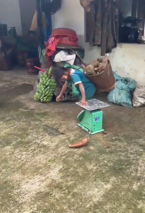 Cô bé người lấm lem, nhưng vẫn tươi cười khi đeo chiếc gùi 20kg sắn