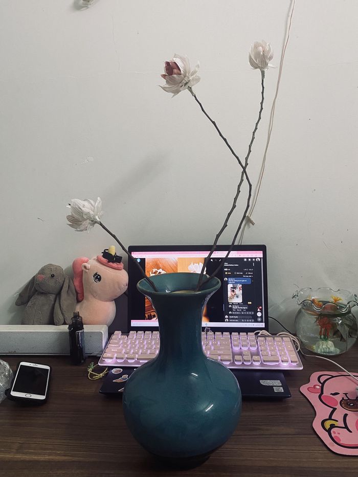 Giới trẻ hồ biến vỏ tỏi thành hoa sen tinh tế: Sự sáng tạo của gen Z