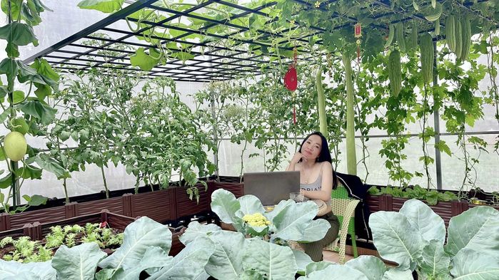 Mẹ bỉm Kiên Giang khiến chị em sốt sắng khi khoe vườn sân thượng