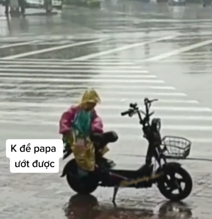 Trời mưa tầm tã, em bé luýnh quýnh nhướn người che chắn yên xe cho bố