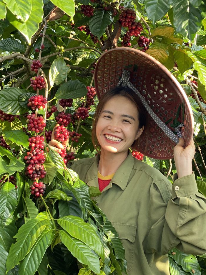 Cô sinh viên Y dược bỏ phố về Đắk Lắk, lăng xê hạt cà phê quê nhà