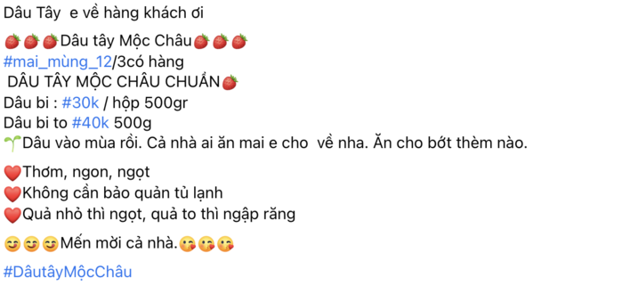 Dâu tây Mộc Châu gây sốc khi đại hạ giá còn 30 nghìn đồng