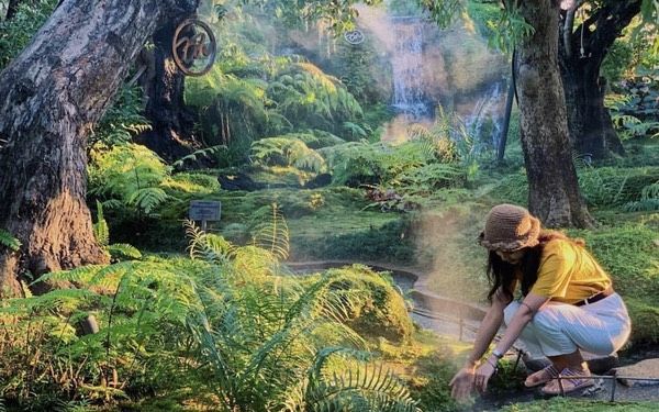 Xu hướng đóng băng để bình ổn: Lùi để tiến xa hay dậm chân tại chỗ?