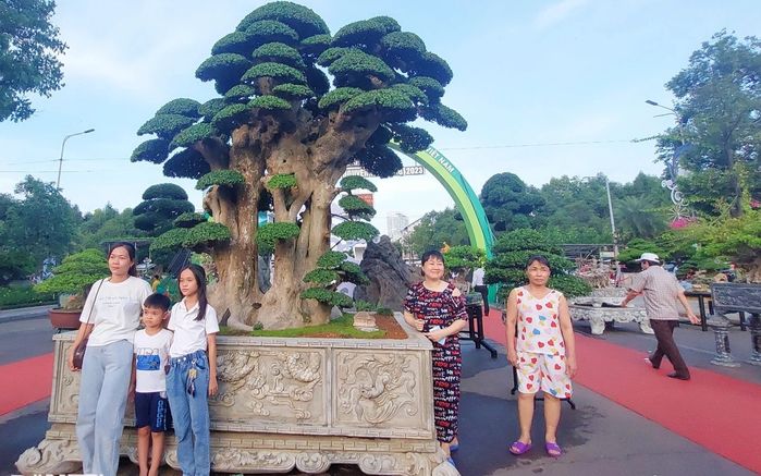 Cây duối rừng nổi tiếng khắp Bình Định, trả 23 tỷ đồng vẫn không bán