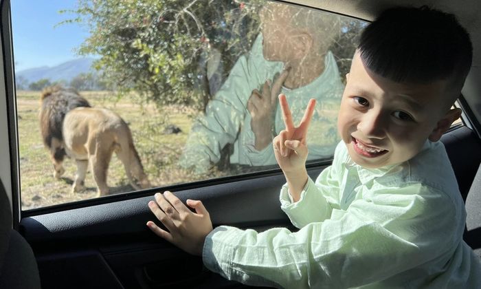 Gia đình Việt chi hơn 200 triệu đồng, lái xe ngắm thú hoang Nam Phi