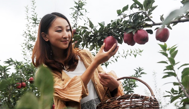 Làm sao để "hái" được thật nhiều may mắn?