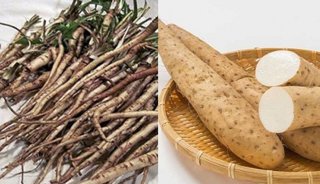 Sau 1 tuần thực hiện bí kíp này, ngực nhỏ thành ngực nở căng tròn