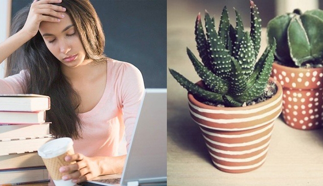 Cách bảo vệ da khỏi tàn nhang cho cô nàng công sở