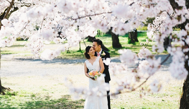 Mê mẩn đám cưới giữa rừng hoa anh đào của cặp đôi yêu du lịch