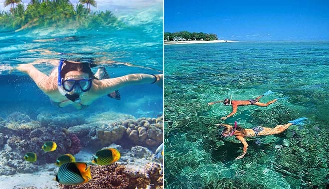 6 điểm lặn biển ngắm san hô đẹp nhất Việt Nam mùa hè nên tới check-in