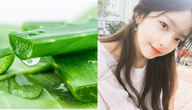 Đánh bay nỗi lo về mụn với 5 loại thảo dược cực hiệu quả này