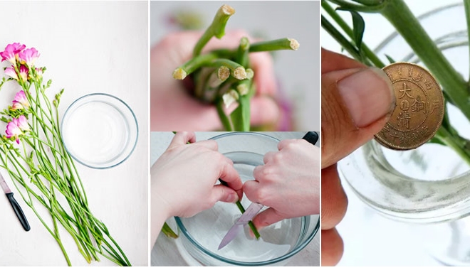 Kết quả hình ảnh cho giữ bình hoa tươi lâu"
