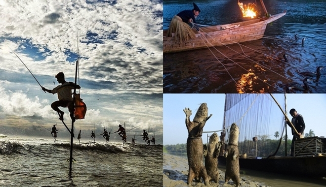 Những hình ảnh chứng minh đây mới là “thánh bắt cá” trên thế giới