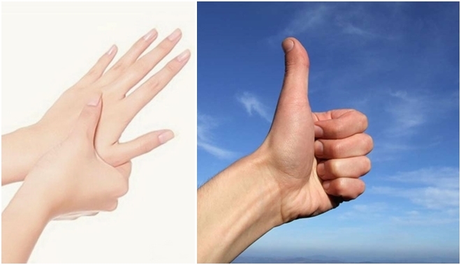 hình ảnh  nhiếp ảnh Chân ngón tay lòng bàn tay cánh tay móng tay  Đóng lên cơ thể con người da Ngón tay cái sự tương tác giác quan Hành  động