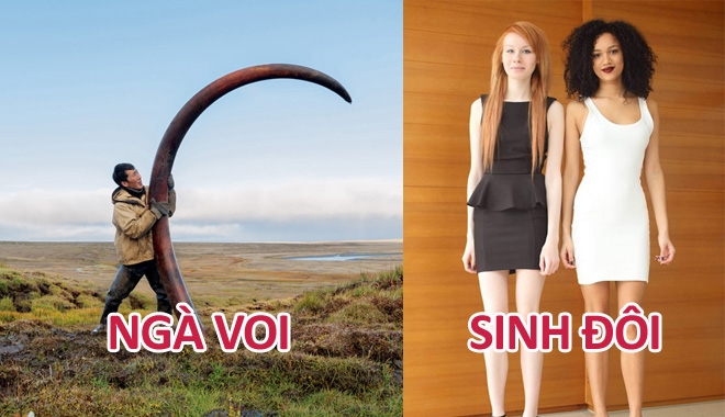 Những hình ảnh cho thấy chúng ta vẫn chưa biết gì cả về thế giới này