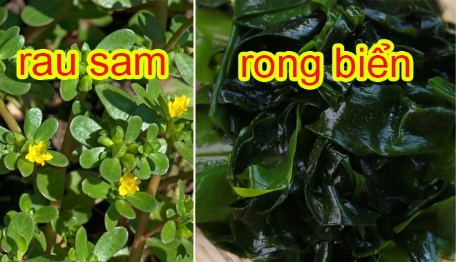 10 siêu thực phẩm cực tốt cho sức khỏe, trong đó có loại được xem là rau dại ở Việt Nam 