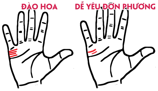 Đếm số đường chỉ tay hôn nhân để biết chuyện tình yêu và kết hôn tương lai