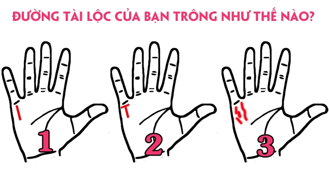 Xem đường tài vận để đoán biết mệnh tài lộc trong tương lai 