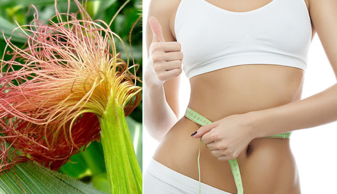 Ít ai ngờ thứ bỏ đi của cây bắp lại là “thần dược” trị đủ thứ bệnh 