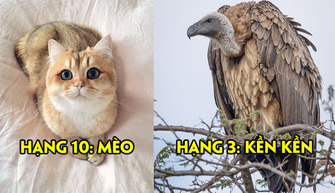10 cái tên quyền lực đang chi phối cả thế giới nhưng không phải ai cũng biết