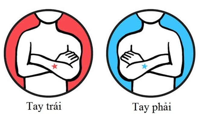 Chỉ 1 phút làm trắc nghiệm cho biết chính xách bạn thuộc team não trái hay não phải 