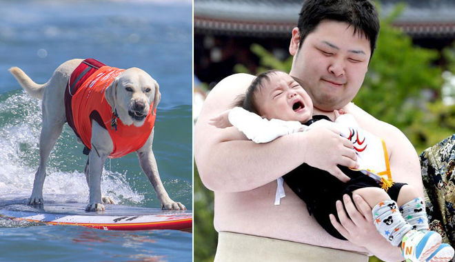 Top 15 cuộc thi lạ lùng nhất quả đất, số 5 nghe tên đã thấy “phí của giời” 