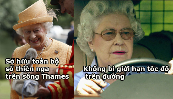 Những đặc quyền rất thú vị và độc đáo nhất thế giới chỉ Nữ hoàng Anh mới có 