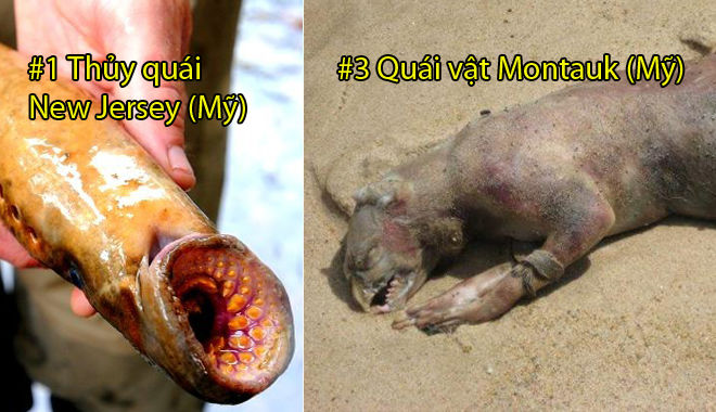 Top 8 thủy quái có thật kinh hoàng nhất thế giới