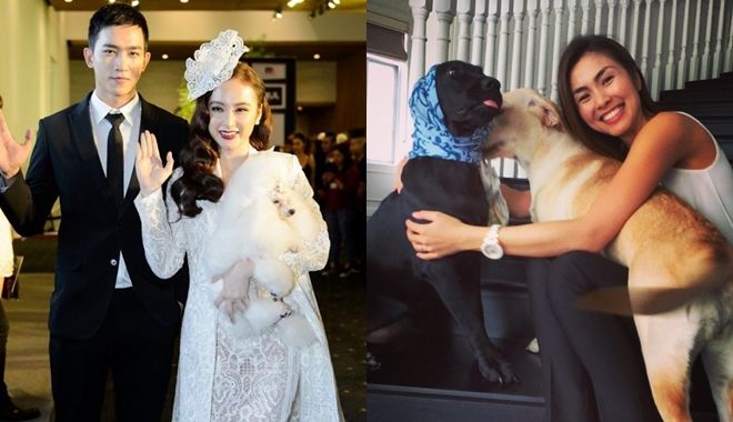Sao Việt thể hiện sự yêu chiều với những chú thú cưng của mình như thế nào?