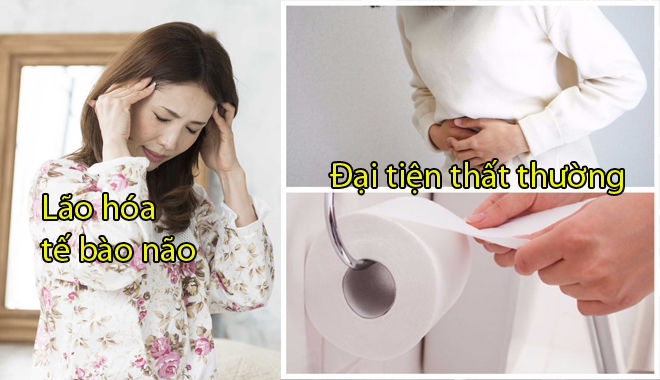 Đây là lí do vì sao khoa học lại bảo rằng ai hay nóng giận là đang tự hại mình