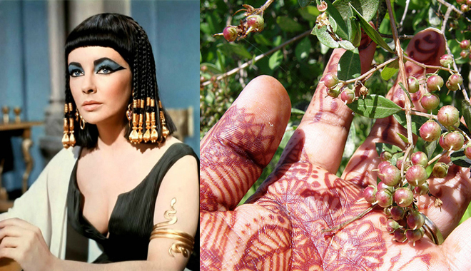 Những bí kíp làm đẹp có từ thời Nữ hoàng Cleopatra tới nay vẫn còn cực kỳ hữu dụng