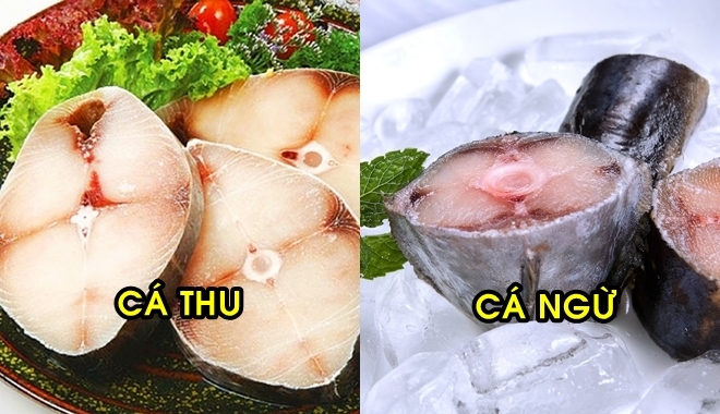 6 loại cá “quen nhẵn mặt” nhưng chứa hàm lượng thủy ngân cao, chuyên gia khuyên không ăn nhiều