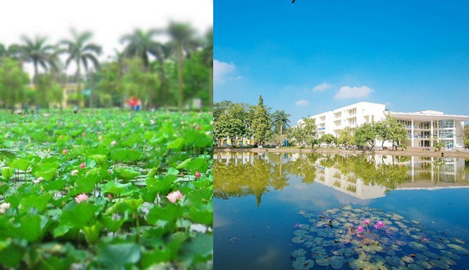 Ấn tượng ngôi trường rộng nhất Việt Nam, có hẳn hồ sen mênh mông và vô số góc "sống ảo"