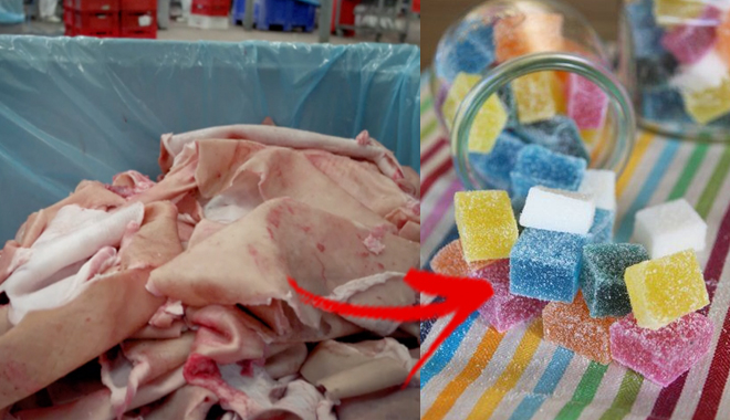 Kẹo dẻo là loại kẹo ngon khó cưỡng nhưng xem xong quy trình chế biến này, bạn còn dám ăn?