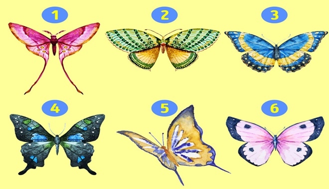 Bạn có tin chú bướm được chọn trong bức tranh này có thể nói lên tính cách ẩn giấu của bản thân?