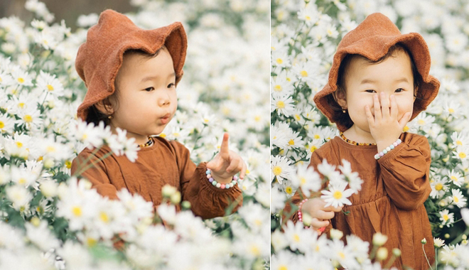 Ấn tượng bộ ảnh em bé "diễn sâu" siêu đáng yêu bên cúc họa mi đốn tim người xem