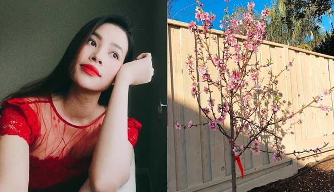 Giữa nghi vấn sang Mỹ dưỡng thai, thông báo mới của Phạm Hương càng gây thêm xôn xao
