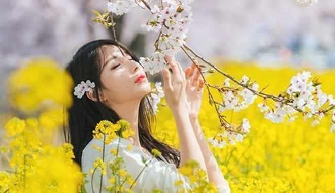 Vận mệnh do trời định nhưng phúc họa là do bản thân con người tự chiêu mời