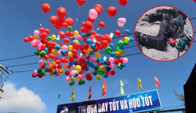 Nữ sinh lớp 6 viết thư xin "đừng thả bóng bay trong lễ khai giảng", CDM đồng tình ủng hộ