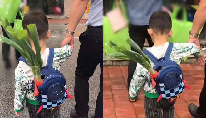 Ông nội tặng cháu cây hành tây trong ngày đi học đầu tiên, CĐM: “Thâm sâu đến thế là cùng"