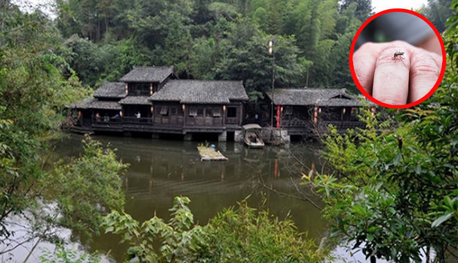 Kỳ lạ về 1 ngôi làng: Cả một thế kỉ không biết cảm giác muỗi cắn là gì