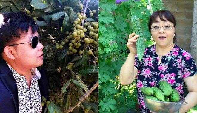 Rau trái trong nhà sao Việt ở trời Tây: Vườn Quang Lê luôn trĩu quả