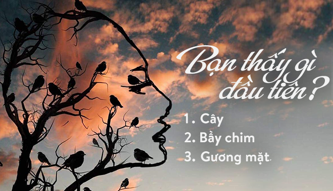 Hình ảnh thấy tiết lộ bạn là ai, nên làm gì để thành công trong đời