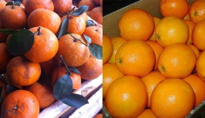 Phân biệt hoa quả ngâm hóa chất: cam vỏ sần, chuối có đốm nâu mới ngon