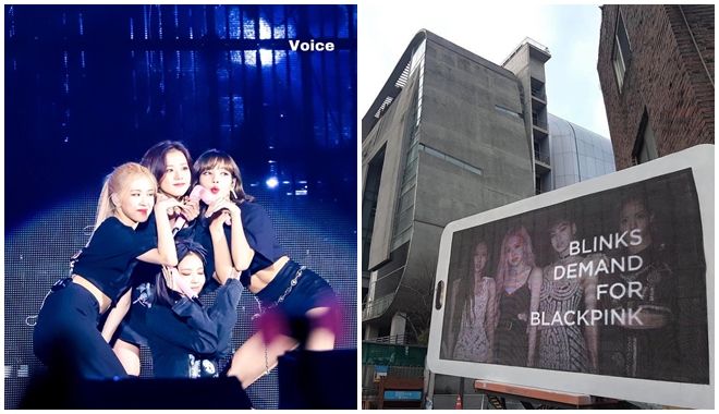 Fan Black Pink đặt biển quảng cáo đòi quyền lợi và sự hồi đáp của YG