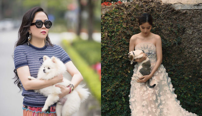 Dạo phố với thú cưng: Nam Em tựa công chúa, Hà Tăng như "soái tỷ"