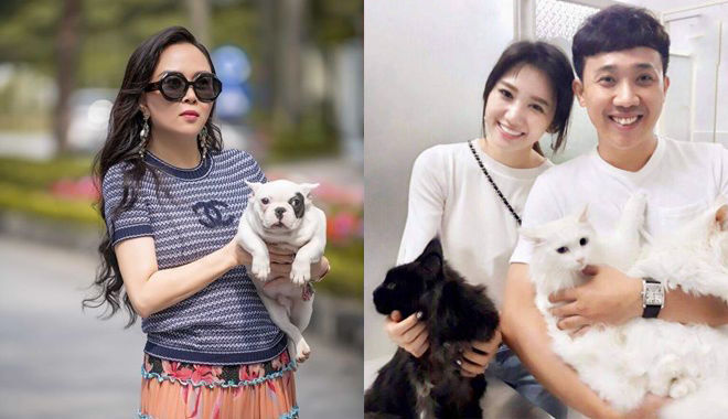 Sao Việt mê nuôi thú cưng: Phượng Chanel, Hà Tăng chăm bẵm như con