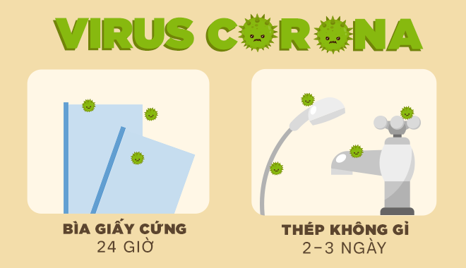 Infographic: Thời gian virus Corona sống trên các bề mặt