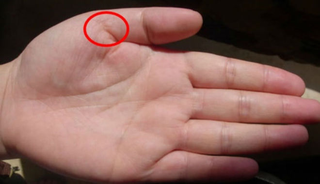Nhân tướng học: 6 dấu hiệu trên bàn tay của người sinh ra đã giàu sang